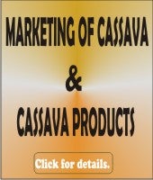 Cassava Products